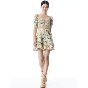 Alice And Olivia Crawford Sweetheart Tiered Floral Mini Dress Romance Almond